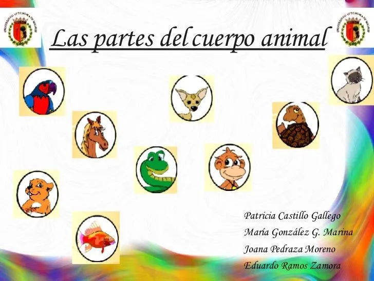 Partes Del Cuerpo Animal