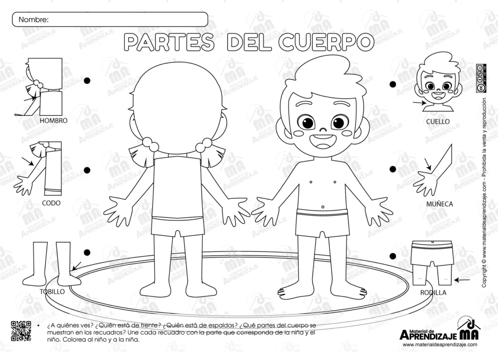 Las Partes del Cuerpo: Ficha Imprimible para Niños de 4 Años : Material de  Aprendizaje