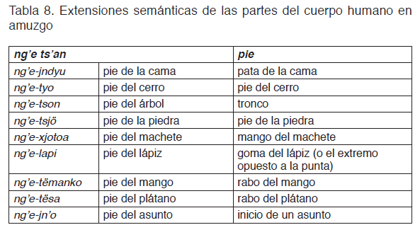 Las partes del cuerpo humano en amuzgo y su proyección semántica ...