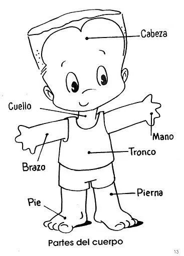 RECURSOS EDUCACION INFANTIL: Vocabulario: partes del cuerpo humano