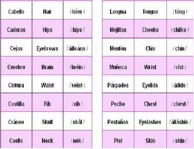 Partes Del Cuerpo En Ingles