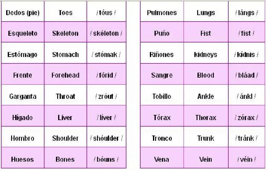 Partes Del Cuerpo En Ingles