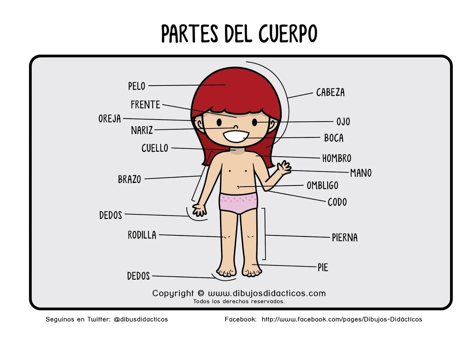 Partes del cuerpo de niña - Imagui