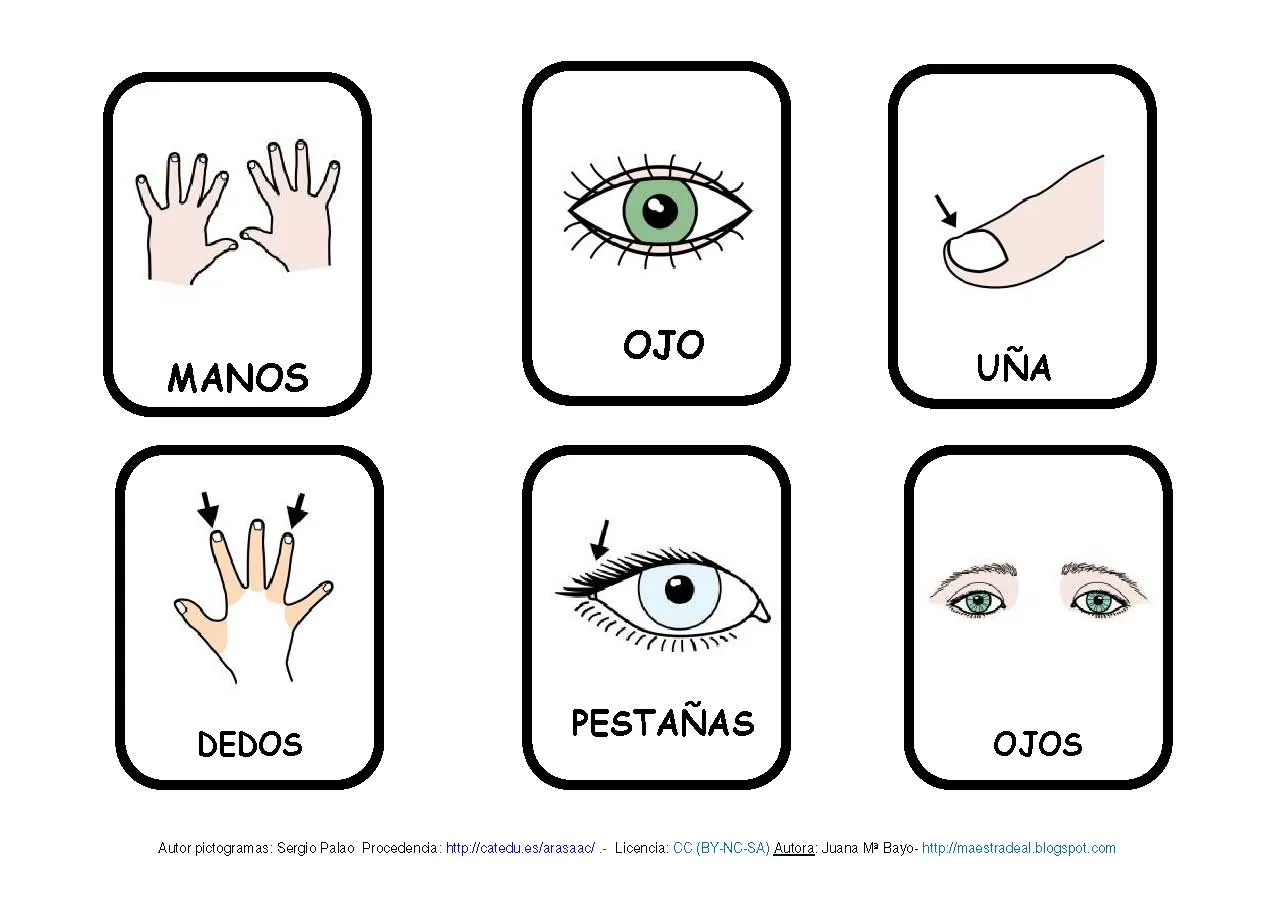 Las partes del cuerpo | Virtual Spanish Classroom