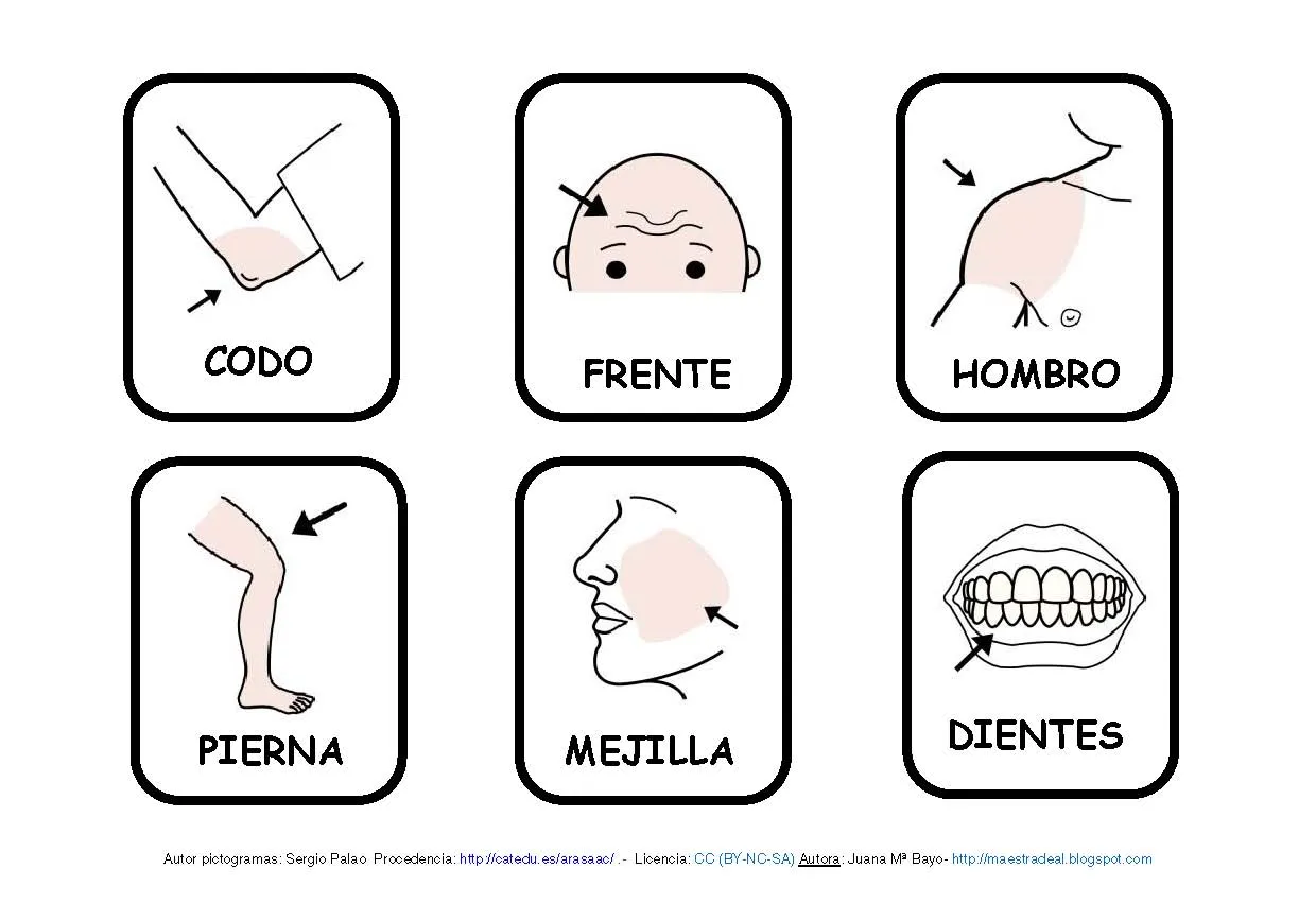 Las partes del cuerpo | Virtual Spanish Classroom