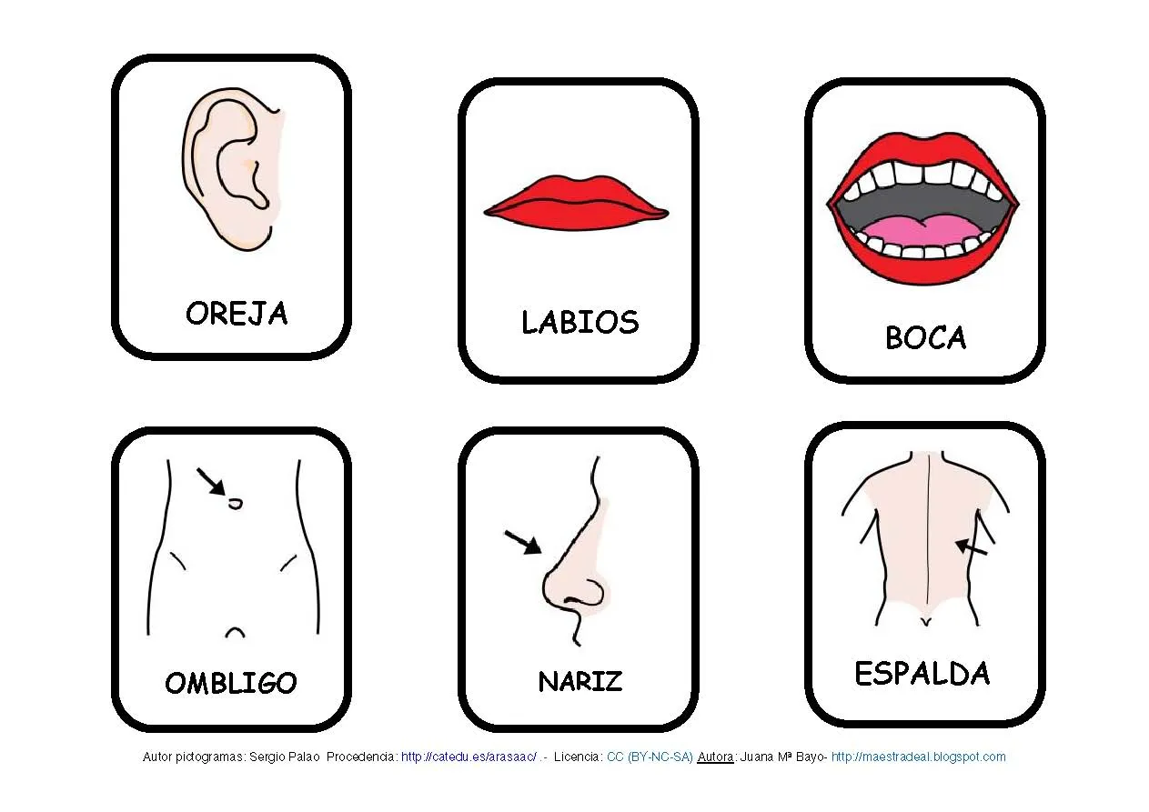 Las partes del cuerpo | Virtual Spanish Classroom