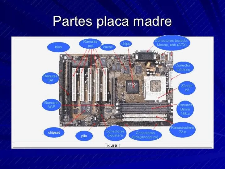 partes-de-placa-madre-2-728. ...