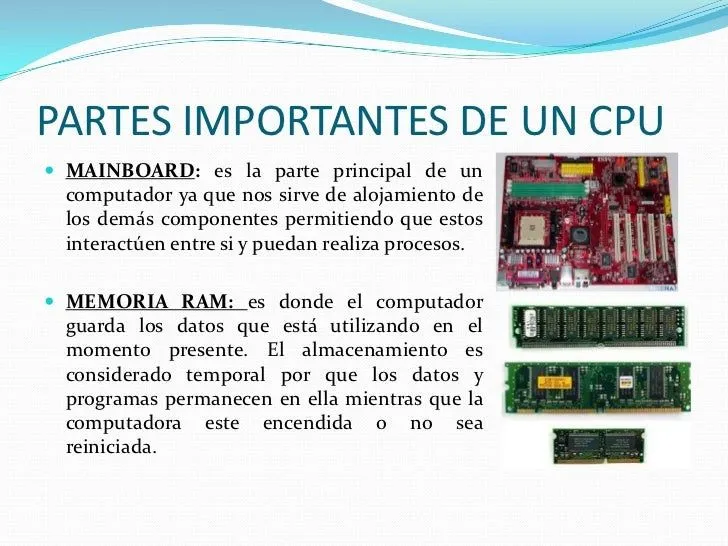 PARTES IMPORTANTES DE UN CPU