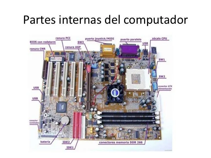 Partes internas del computador