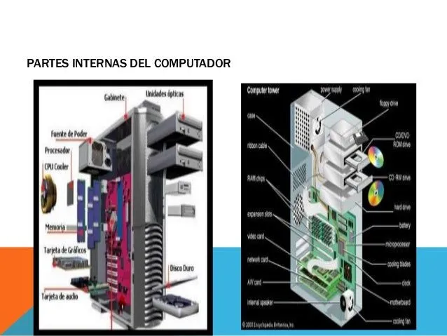 Partes internas y externas del computador