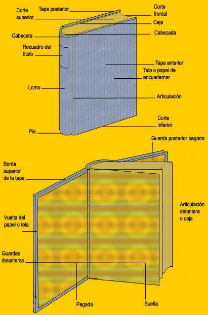 Partes de un libro - Imagui