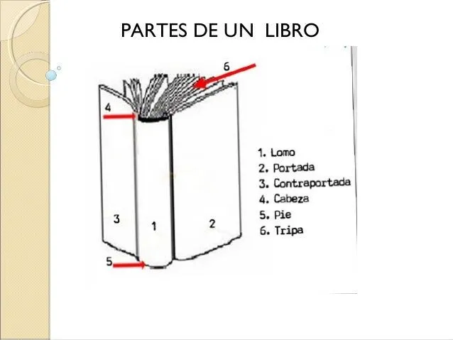 Las partes del libro son - Imagui