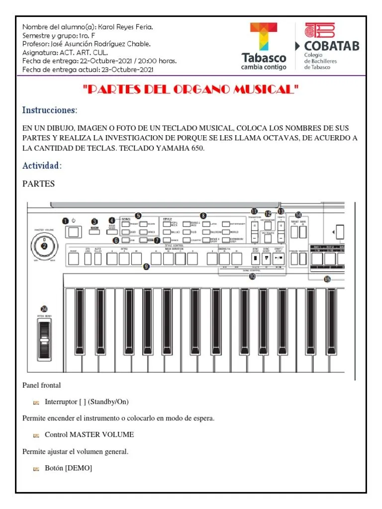 Partes Del Organo Musical | PDF | Informática