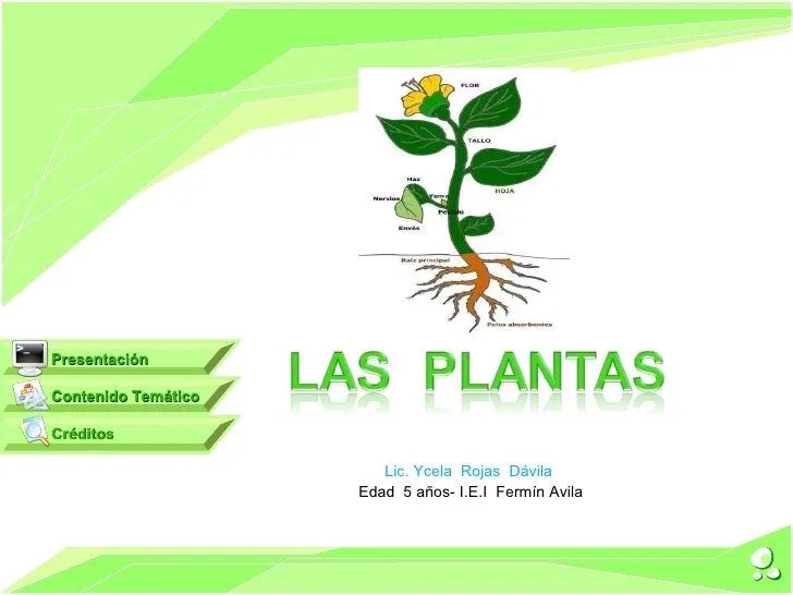 las partes de la planta