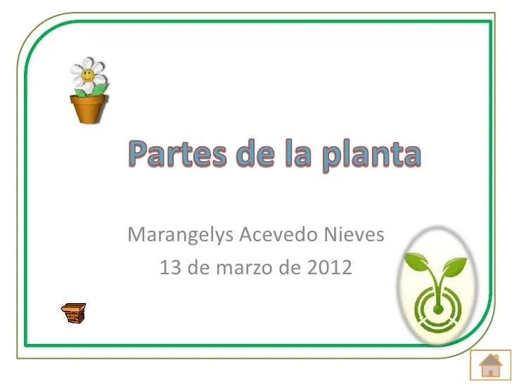 Partes de la planta 2conreferencias3