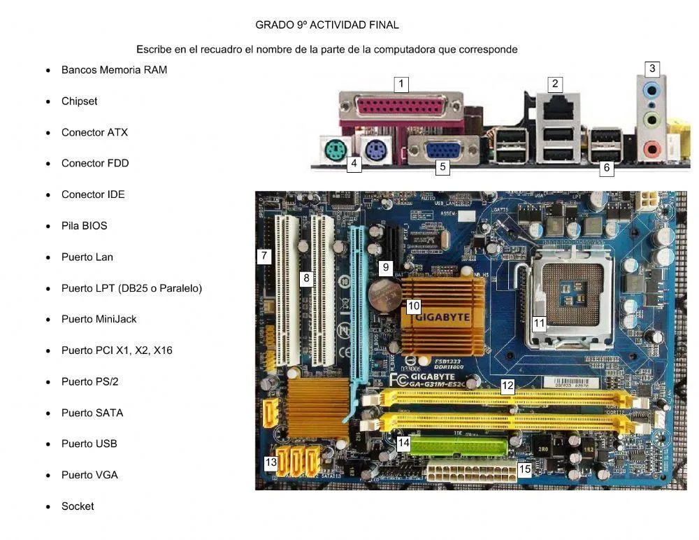 Partes de la tarjeta madre y los puertos worksheet | Live Worksheets