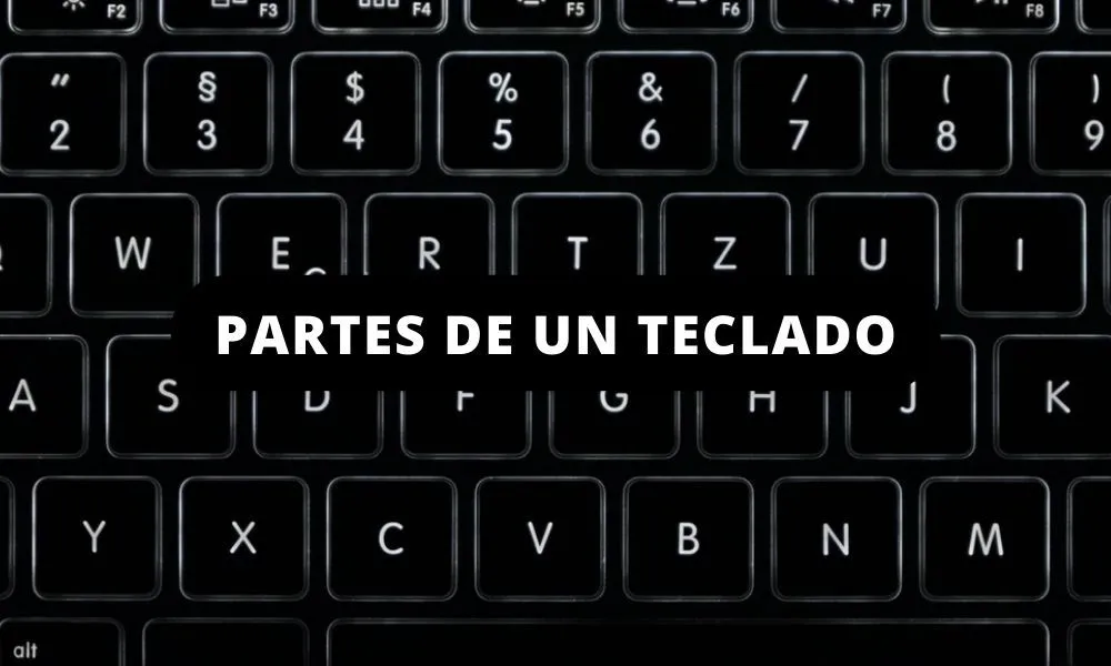 Partes de un teclado: todas las piezas y funciones que debes conocer