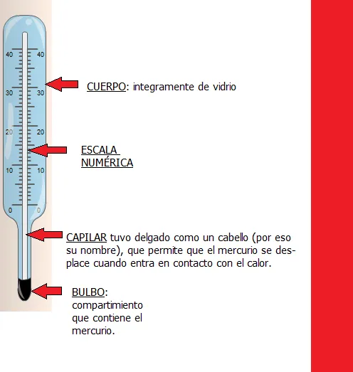 Partes del termometro de mercurio - Imagui