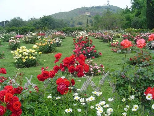 Pasaporte a Barcelona: El jardín de los perfumes