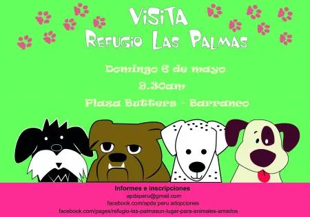 Pasemos un domingo guau guau! Visitando el Refugio de Animales Las ...