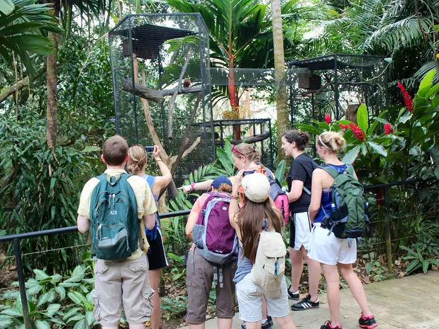 Un paseo por el Parque Zoológico Nacional de Costa Rica - Terra ...