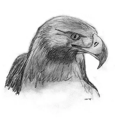 Dibujos del aguila real gratis - Imagui