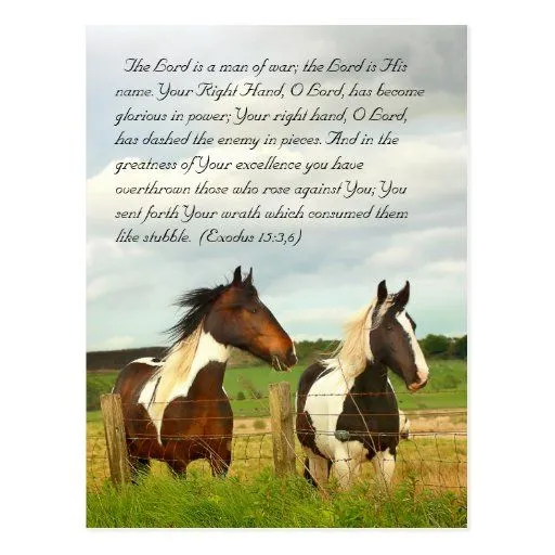 Paso de la biblia, caballos hermosos tarjeta postal de Zazzle.