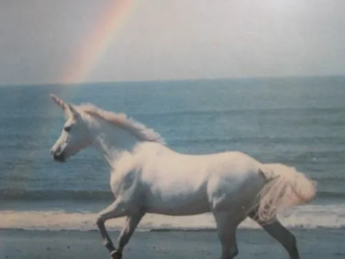 Tumblr unicornios hipster - Imagui