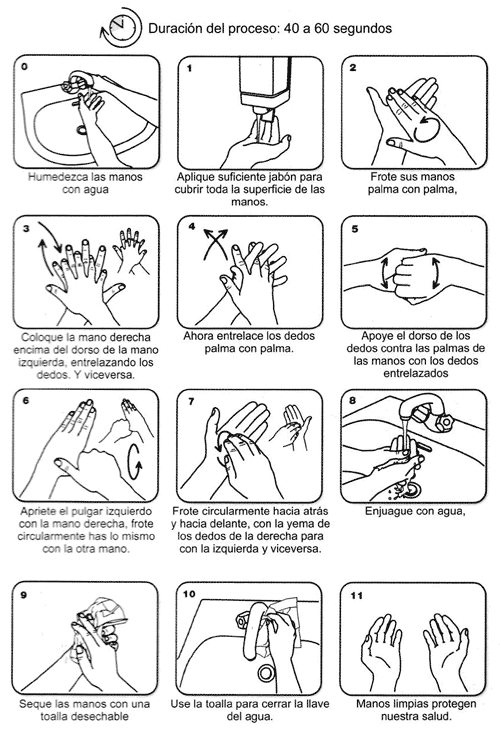 Los pasos del lavado de manos - Imagui