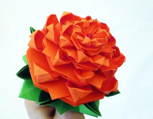 Pasos para plegar una flor australiana en origami