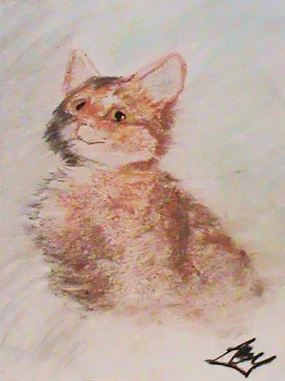 Pastel Kitty Drawing by Annissa Beynon - Pastel Kitty Fine Art ...