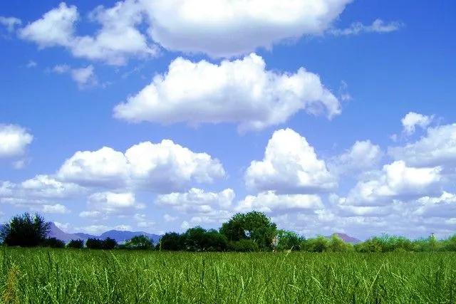 Pasto y Cielo. | Flickr - Photo Sharing!