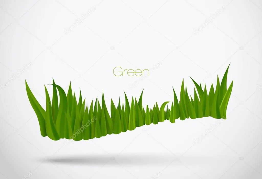 pasto verde con — Vector stock © PanaceaDoll #