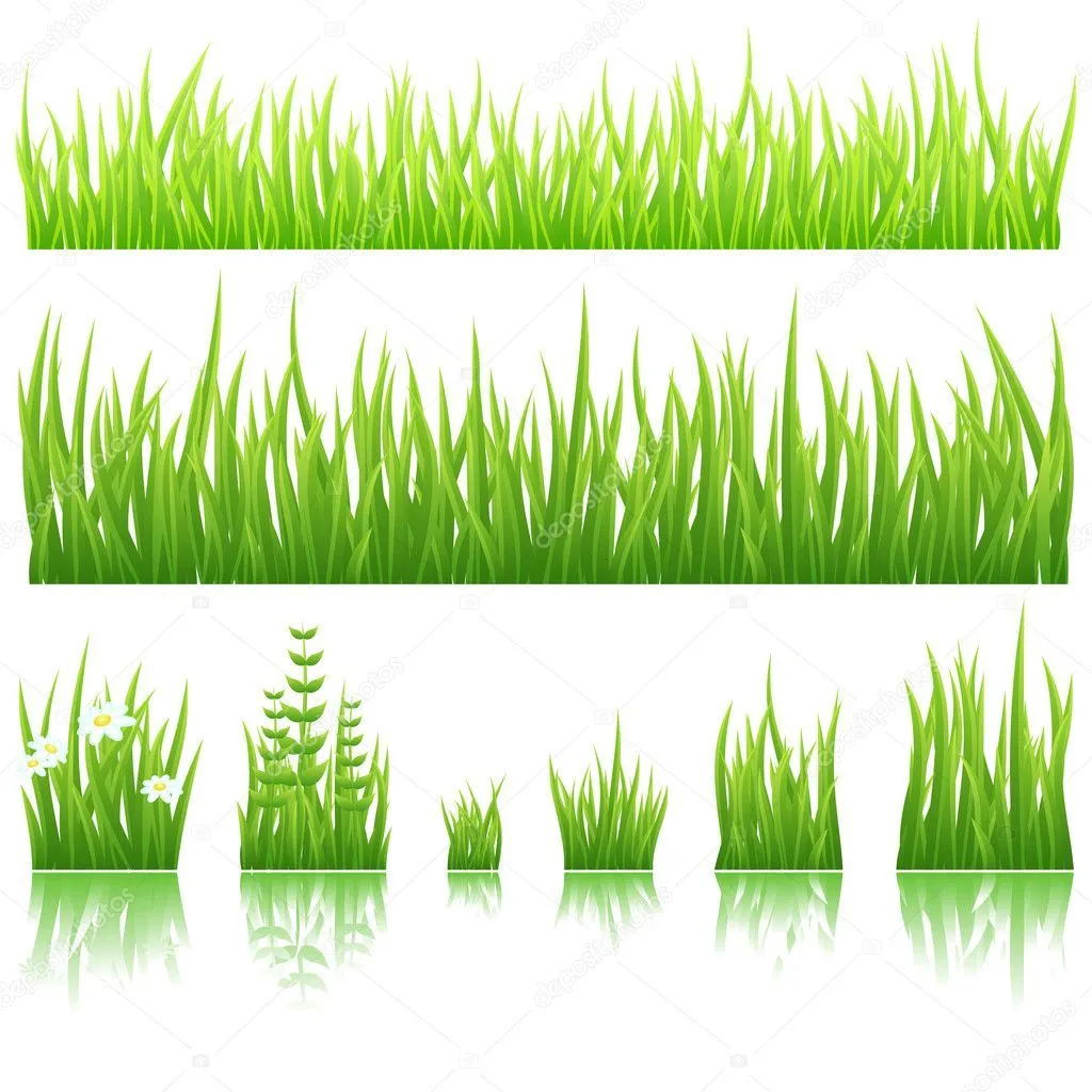 pasto verde con — Vector stock © Designer_things #