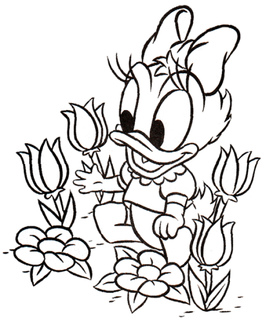 Pata daisy Dibujos para Colorear - DisneyDibujos.