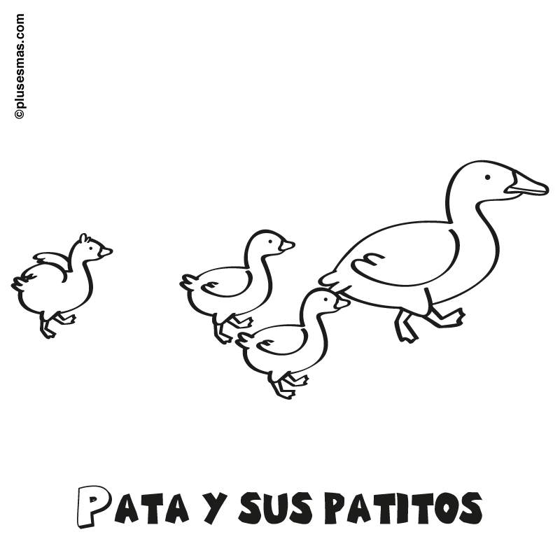 pata y sus patitos Colouring Pages