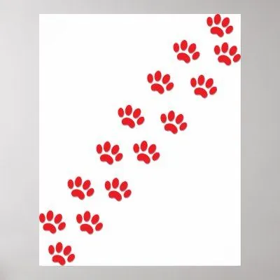 Patas del gato poster de Zazzle.