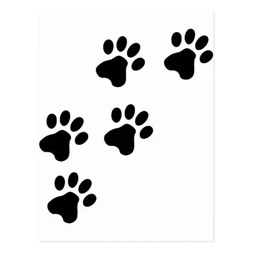 perrito lindo negro de las patas del perro postal de Zazzle.