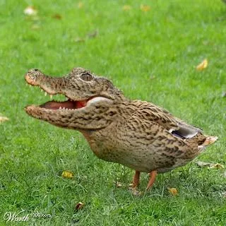 Patito Feo, trabuco feo... ¿Había necesidad, Marce?