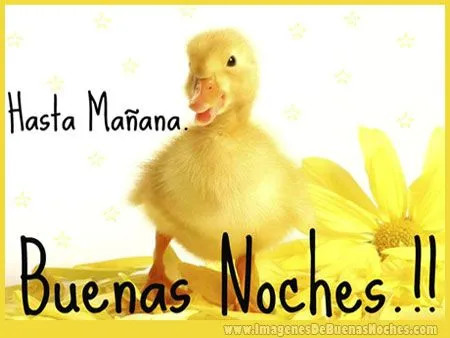 Patitos animados con frases - Imagui