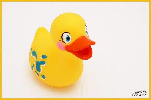 Pato de Goma Pato de Goma