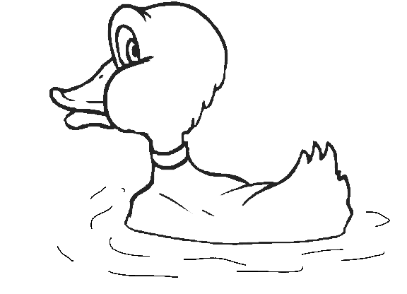 Dibujos de patos nadando para colorear - Imagui