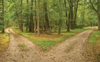 PaToS y PaTaS: Cruce de caminos