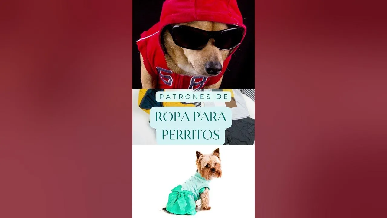 Patrones de ropa para perros Chihuahua