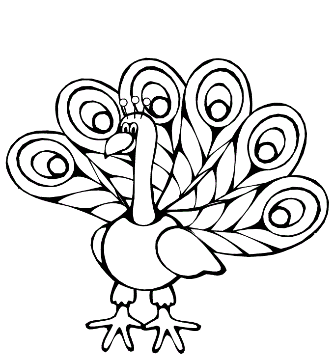 Pavo para colorear