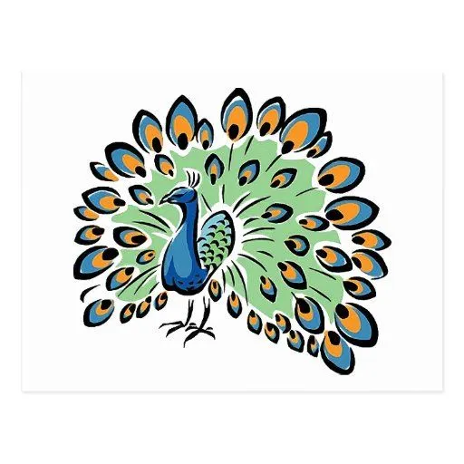 Pavo real colorido del dibujo animado postal | Zazzle