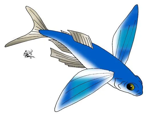 DIBUJOS DE DIFERENETES TIPOS DE PECES