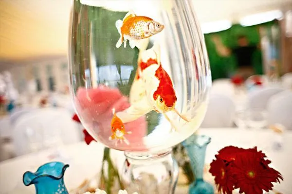 Peces en tu boda - Una Boda Original - Blog de bodas