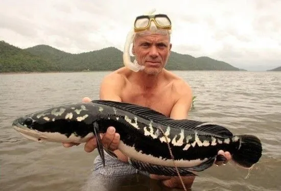 Los peces más raros de río_spanish.