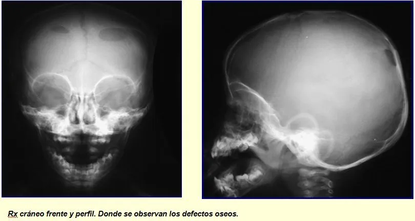 Pediatría Práctica